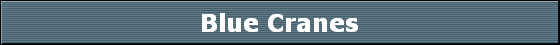 Blue Cranes