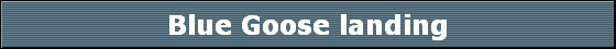 Blue Goose landing