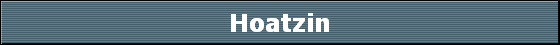 Hoatzin