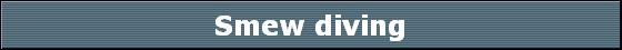 Smew diving