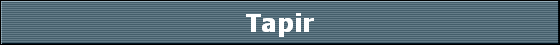 Tapir