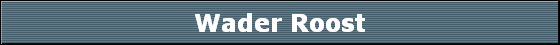 Wader Roost